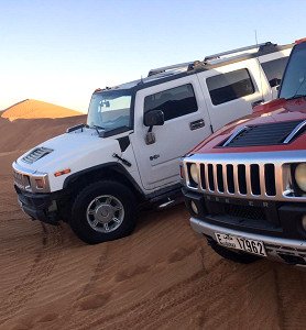 Private Hummer Safari in Dubai with Camel Rides, Dinner and Transfer picture 