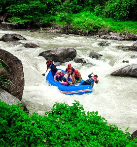 Rafting Tour with Elephant Trekking and Quad Biking from Phuket picture 
