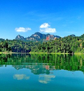 Tour to Cheow Lan Lake and Khao Sok National Park from Phuket picture 