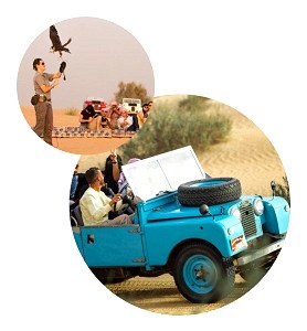 Morning Heritage Falconry & Nature Safari in Land Rover with Breakfast in Dubai picture 