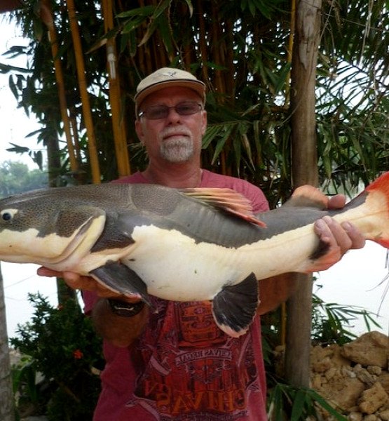 Lake Fishing in Pattaya. Price from 63 Take.Travel