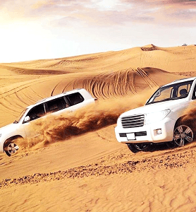 Evening Economy Safari in Dubai with Transfer from the Hotel picture 