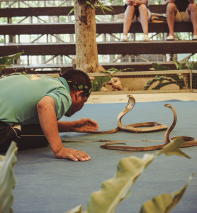 Snake Farm in Pattaya picture 